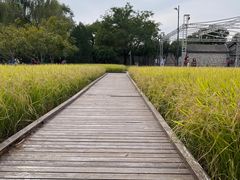 -北坞公园