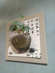 点击看大图 -BENSON