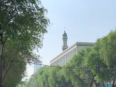 -德禄酸奶(莫家街店)