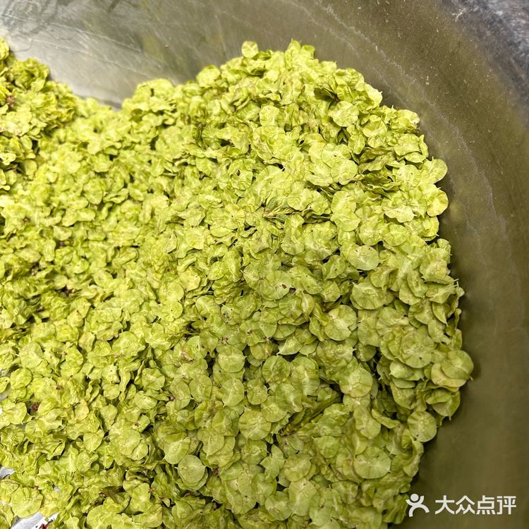 也是吃上了亲自做的榆钱馒头👍