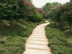 -深圳湾公园(南山区)