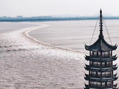 -观潮胜地公园