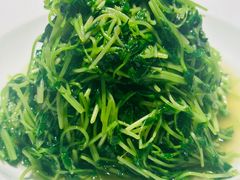 鸡油豆苗-羲和雅苑•北京烤鸭(乐园道万象城店)