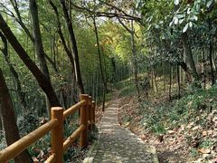 -上海佘山国家森林公园天马山园