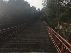 -武汉长江大桥