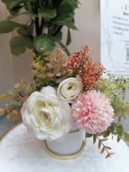 -DMK酶疗中心·BeautyYoung舒妍科技美肤