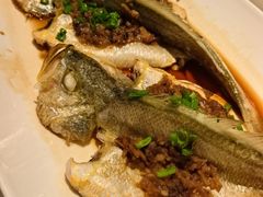 鸡油火腿蒸仙子鱼-悦海堂(金融街购物中心店)