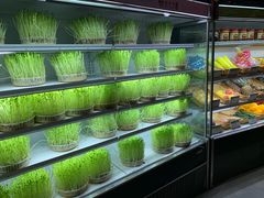 -番食园鲜食火锅(高新店)