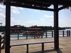 -东寨港红树林旅游区