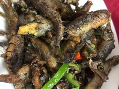 -蛇口康乐快餐鱼仔档(翠苑小区店)