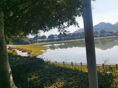 -风云岭森林公园