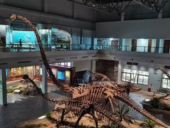 -自贡恐龙博物馆