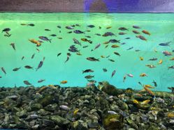 -Zoolung Zoolung动物主题公园(海信广场店)