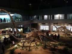 -自贡恐龙博物馆