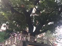 -水围村
