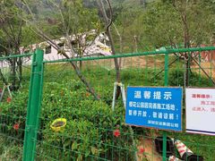 -小南山公园