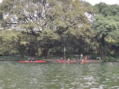 -晓港公园