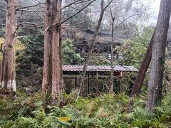 -桂林古东瀑布景区