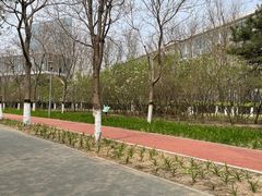 -大兴滨河森林公园