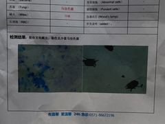 -嘉馨宠物医院·CT影像转诊·心脏科·犬猫全科诊疗中心(下沙大学城院区)