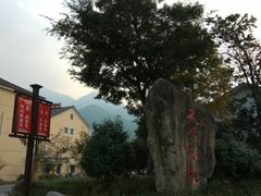 -天下银坑