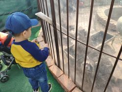 -萌宠亲子动物乐园(槐房万达店)