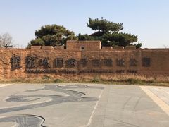 -盘龙城国家考古遗址公园