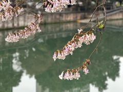 -成都市活水公园