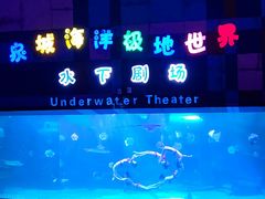 -泉城欧乐堡海洋极地世界