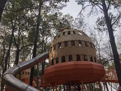 -东湖落雁景区