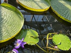 -国家植物园南园