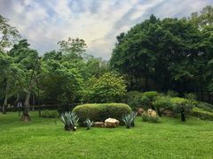 -晓港公园