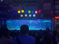 -泉城欧乐堡海洋极地世界