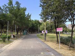 -飞来湖湿地公园