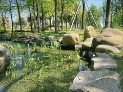 -春花秋色城市公园