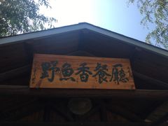 -白洋淀景区