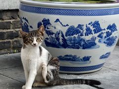 -长春观
