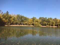 -塘沽森林公园