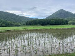-八卦田遗址公园