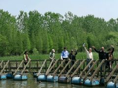 -溱湖国家湿地公园