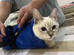 -荔康动物医院(康王北路店)