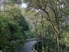 -南山植物园