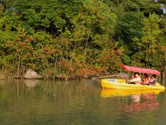 -吴淞炮台湾湿地森林公园烧烤区