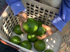 -润记农家菜