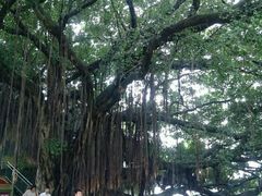 android_upload_pic-大嶝英雄三岛战地观光园