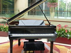 大堂-广州白云机场雅高铂尔曼大酒店