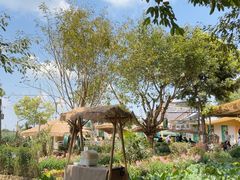 -苏记溪河鲢鱼庄(天府新区店)