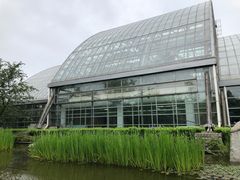 -南山植物园