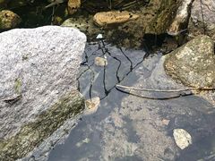 -黑龙潭风景区