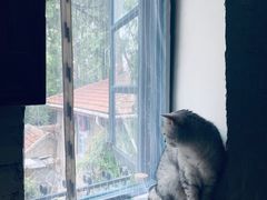 -不舍昼夜咖啡馆